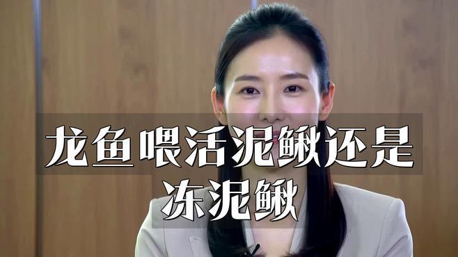 如何安全地喂食活泥鰍給紅龍魚？，如何安全地喂食活泥鰍給紅龍魚