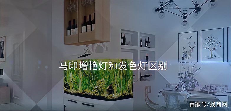 馬印魚缸照明燈，aeroiii馬印led筒燈使用體驗:原生缸燈光如何選擇