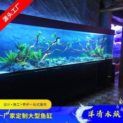 汕頭魚缸維護(hù)，汕頭魚缸專業(yè)維護(hù)全攻略