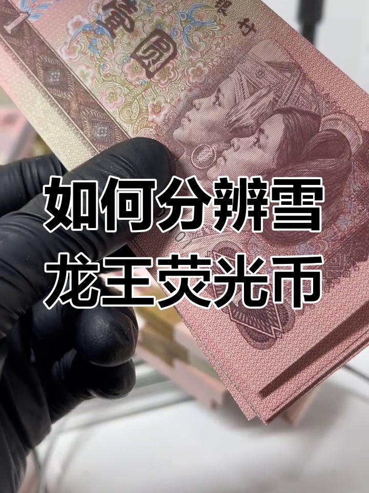 如何鑒別真假雪龍？，《如何鑒別真假雪龍》在市場魚龍混雜的情況下