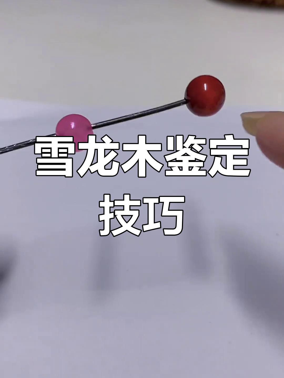 如何鑒別真假雪龍？，《如何鑒別真假雪龍》在市場(chǎng)魚(yú)龍混雜的情況下