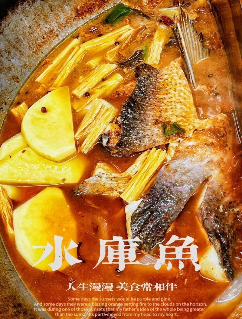 密云龍魚店，北京密云龍魚店哪家口碑最好 密云龍魚店，北京密云龍魚店哪家口碑最好 全國水族館企業(yè)名錄 第9張