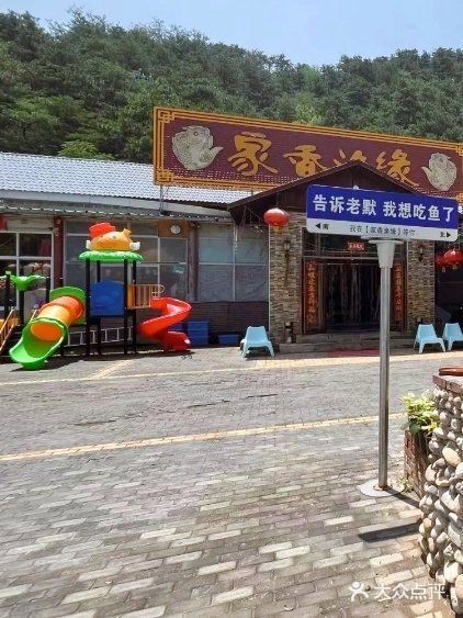 密云龍魚店，北京密云龍魚店哪家口碑最好 密云龍魚店，北京密云龍魚店哪家口碑最好 全國水族館企業(yè)名錄 第13張