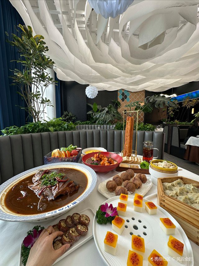 密云龍魚店,北京密云龍魚店哪家口碑最好 全國水族館企業(yè)名錄 第3張 密云龍魚店,北京密云龍魚店哪家口碑最好 密云龍魚店,北京密云龍魚店哪家口碑最好 全國水族館企業(yè)名錄 第3張