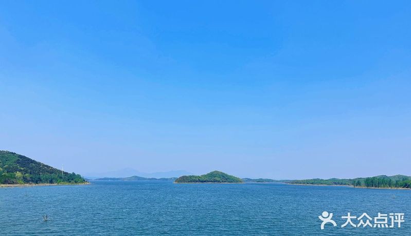 密云龍魚店，北京密云龍魚店哪家口碑最好 密云龍魚店，北京密云龍魚店哪家口碑最好 全國水族館企業(yè)名錄 第4張