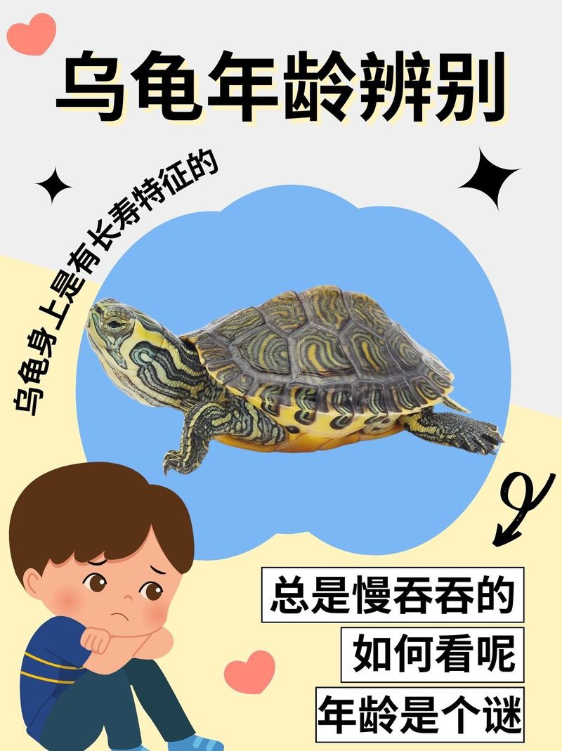 如何判斷龍龜的年代？，判斷龍龜的年代主要依據其甲殼上的生長紋路類似樹木年輪原理