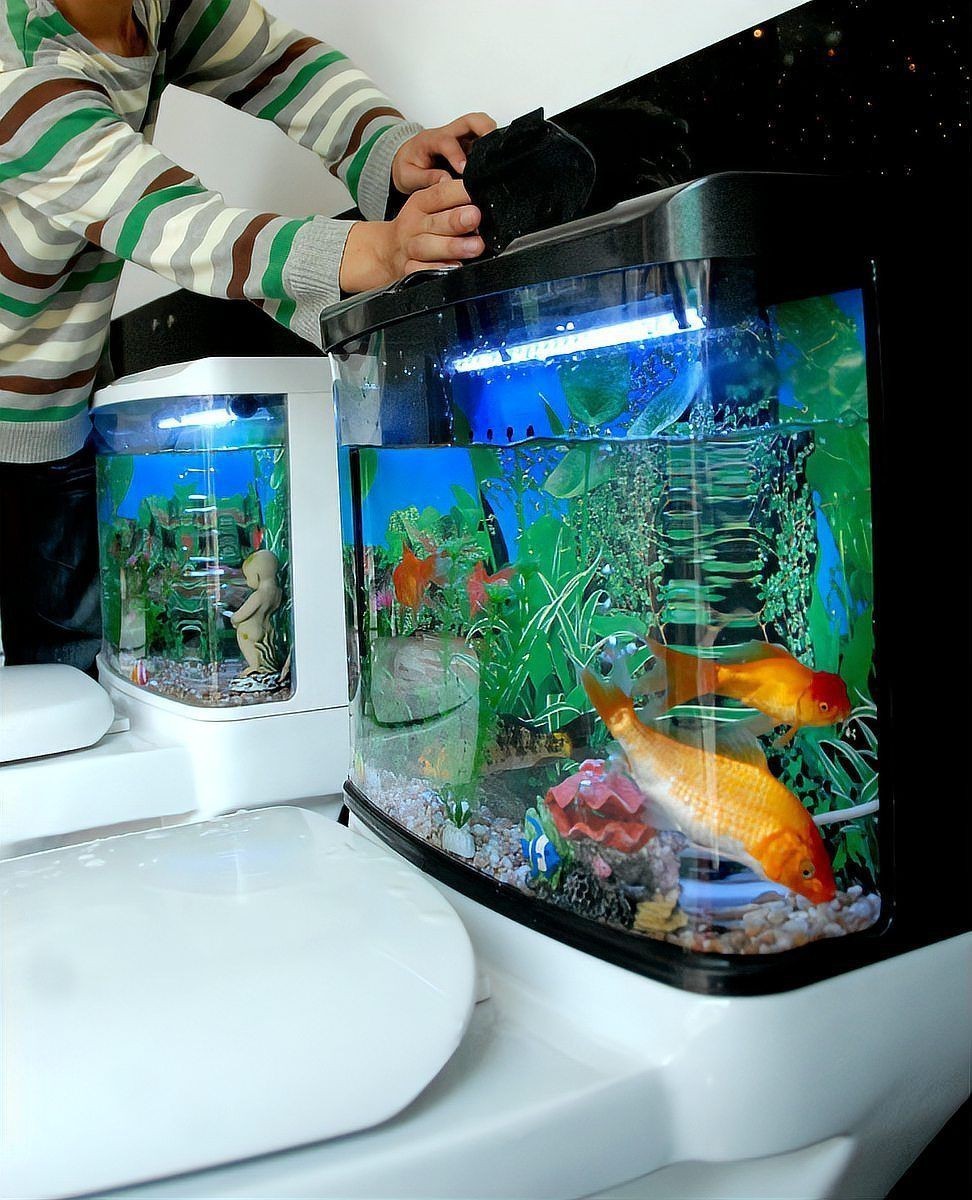 蕪湖魚缸維護，蕪湖地區的魚缸維護是一項綜合性工作關乎魚類健康與觀賞效果 蕪湖魚缸維護，蕪湖地區的魚缸維護是一項綜合性工作關乎魚類健康與觀賞效果 全國水族館企業名錄 第8張