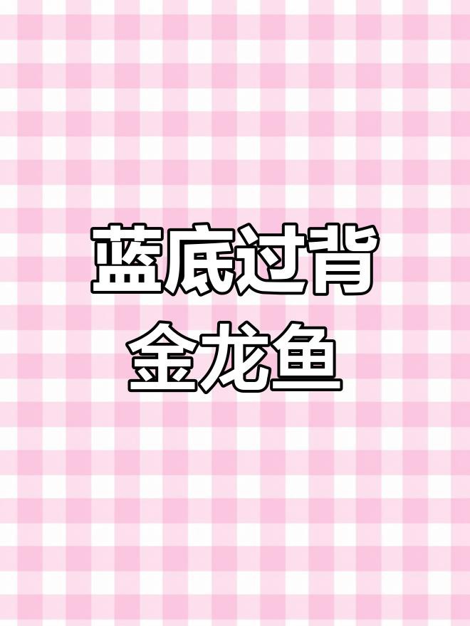 如何判斷藍(lán)底過(guò)背金龍魚的品相？，古典藍(lán)底過(guò)背金龍?jiān)撛趺催x龍魚啊成揭秘! 如何判斷藍(lán)底過(guò)背金龍魚的品相？，古典藍(lán)底過(guò)背金龍?jiān)撛趺催x龍魚啊成揭秘! 龍魚百科 第7張