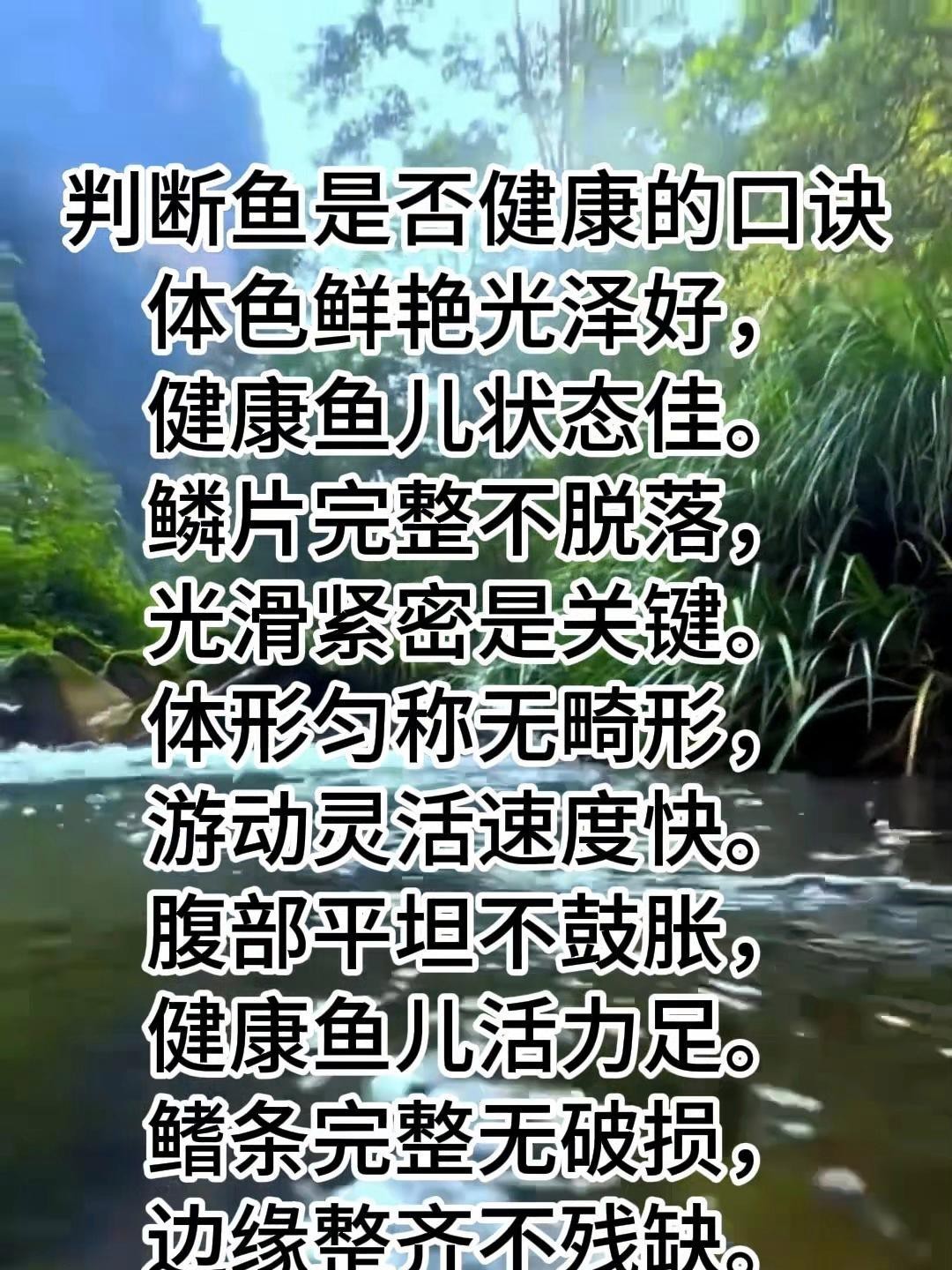 如何判斷金龍魚苗是否健康？，判斷金龍魚苗是否健康需綜合多方面特征 如何判斷金龍魚苗是否健康？，判斷金龍魚苗是否健康需綜合多方面特征 龍魚百科 第3張