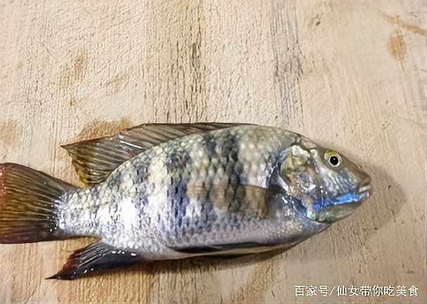 福壽魚的功效與作用，吃福壽魚的好處和壞處 福壽魚的功效與作用，吃福壽魚的好處和壞處 龍魚論壇 第2張