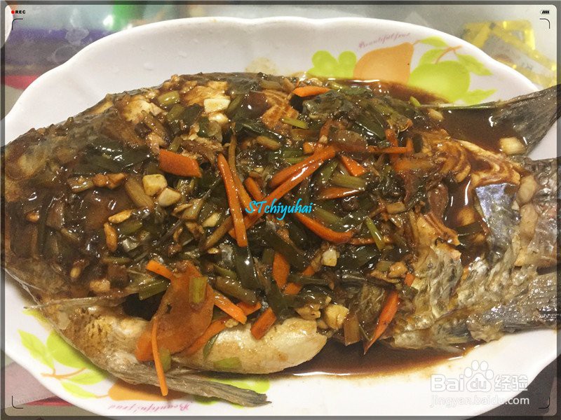 福壽魚的功效與作用，吃福壽魚的好處和壞處 福壽魚的功效與作用，吃福壽魚的好處和壞處 龍魚論壇 第4張