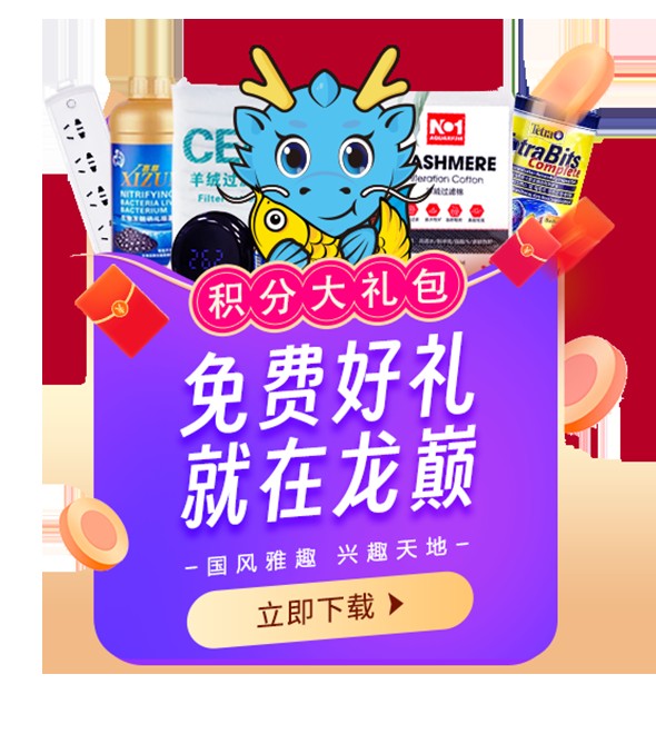 古典過(guò)背和紅龍哪個(gè)更難養(yǎng)，古典過(guò)背與紅龍飼養(yǎng)難度對(duì)比