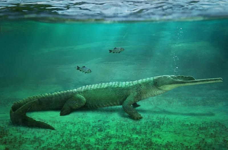 滿(mǎn)身刺的像鱷魚(yú)的恐龍，《滿(mǎn)身刺的像鱷魚(yú)的恐龍》