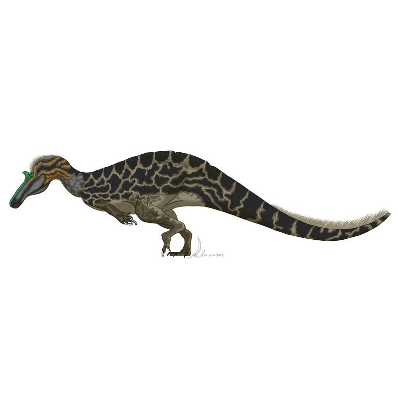 滿身刺的像鱷魚的恐龍，《滿身刺的像鱷魚的恐龍》