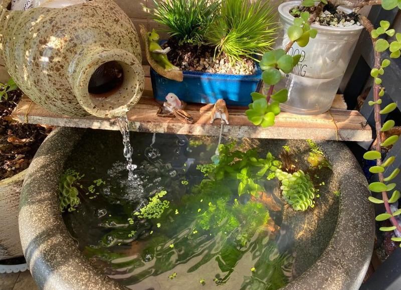 黃岡魚缸定做，《黃岡魚缸定做》