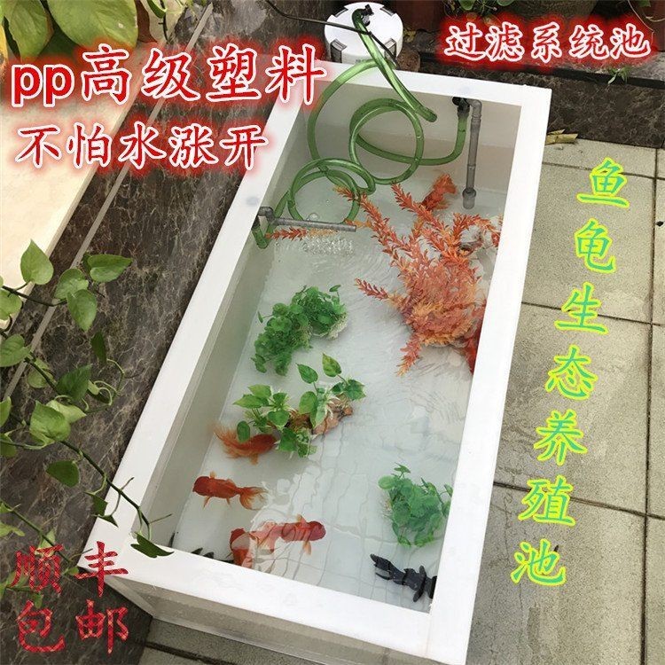 陽江魚缸店，陽江魚缸店分布廣泛且各具特色