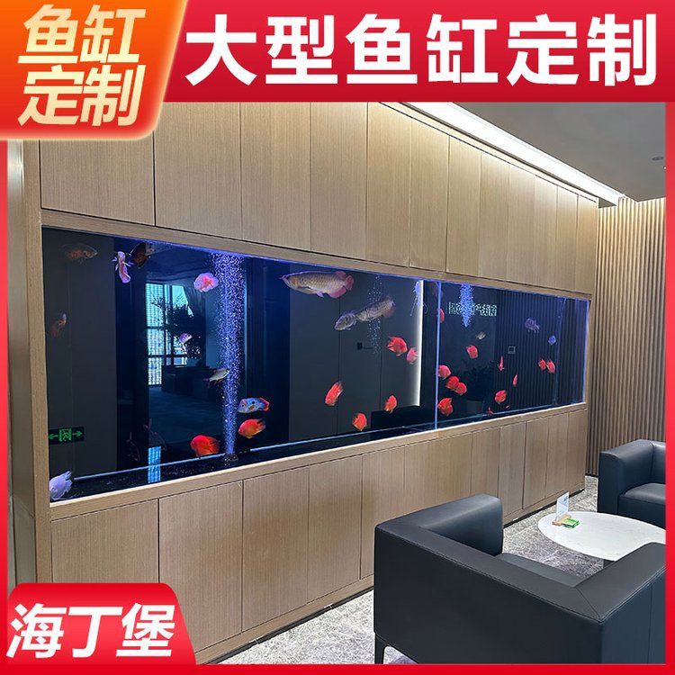 陽江魚缸店，陽江魚缸店分布廣泛且各具特色