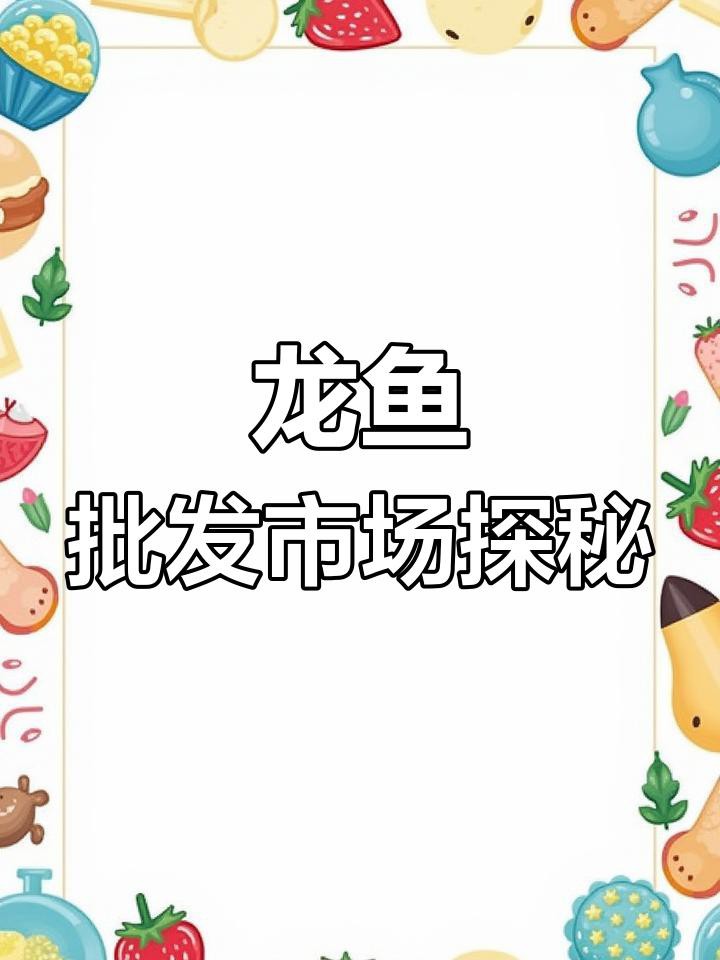 哪里可以買到性價比高的短身紅龍魚？，短身紅龍魚啊捷批發(fā)市場龍魚大揭秘超值價格讓你心動