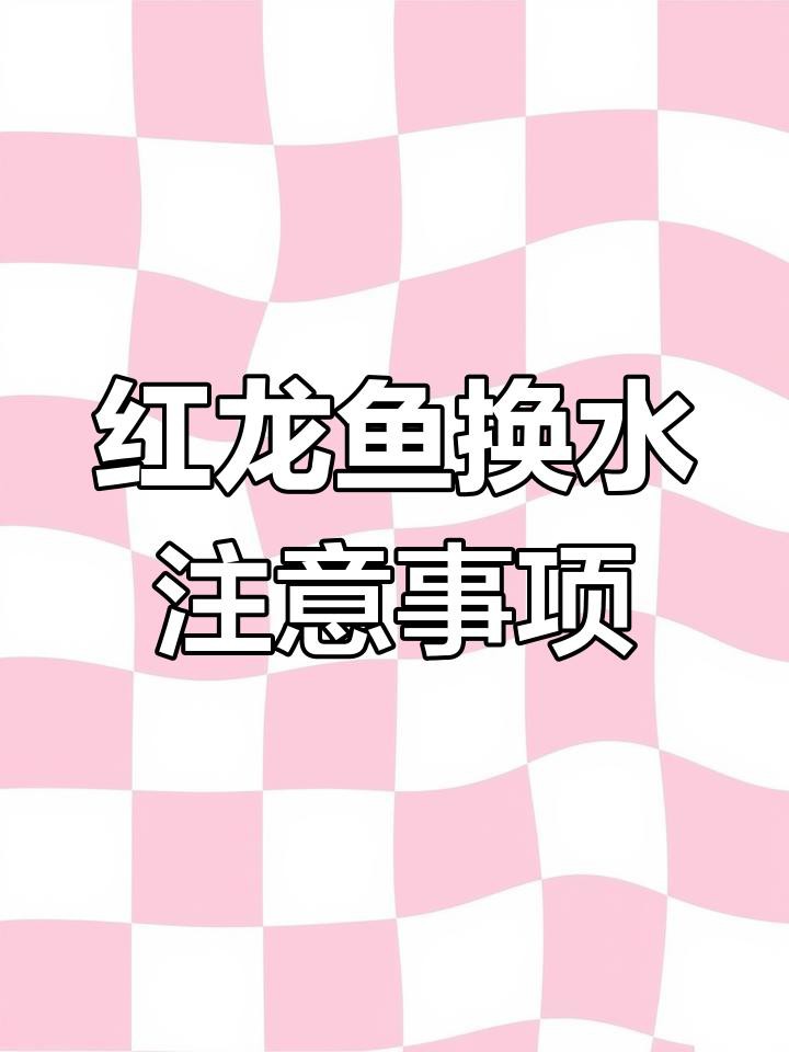 如何保持紅龍魚養(yǎng)殖水質(zhì)的穩(wěn)定？，紅龍魚養(yǎng)殖水質(zhì)的穩(wěn)定需從以下幾個方面綜合管理