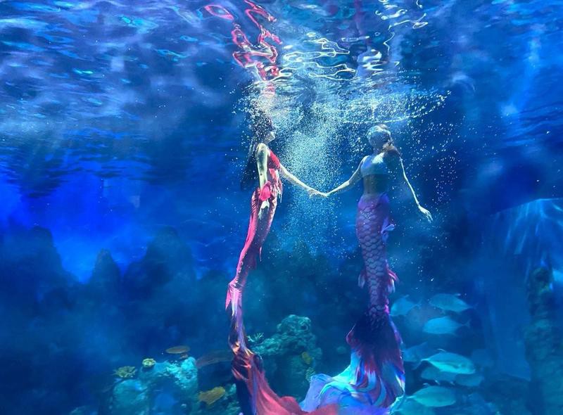廣漢水族店，廣漢哪家水族店口碑最好