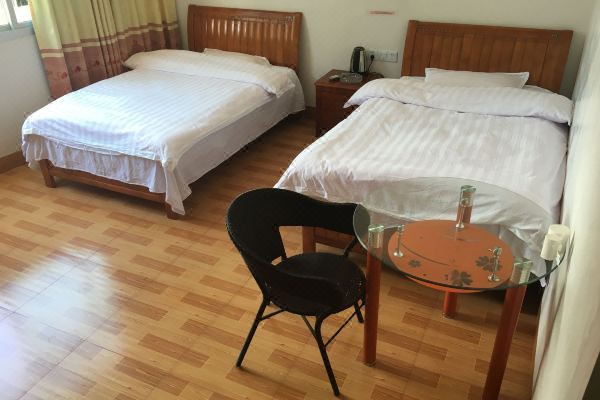 壽寧龍魚店，壽寧龍魚市場前景如何