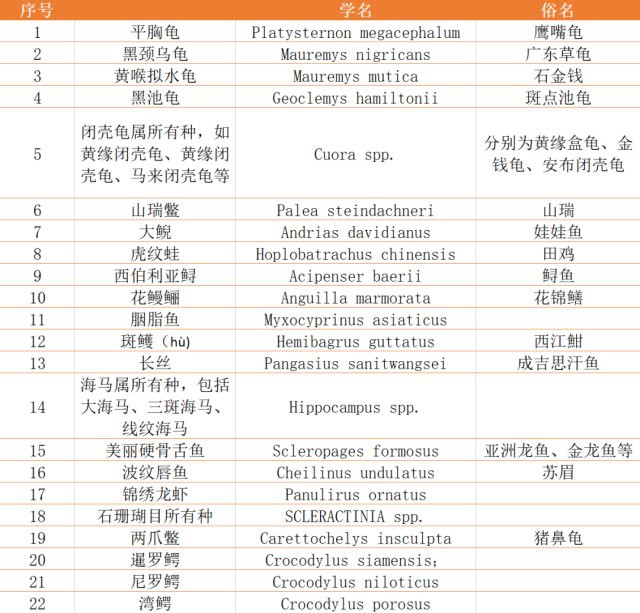 如何合法銷售龍頭魚？，合法銷售龍頭魚需遵循的核心要求