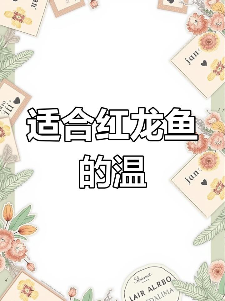 如何保持紅龍魚的水溫穩定？，如何保持紅龍魚的水溫穩定，維持紅龍魚的水溫穩定對其健康生長至關重要