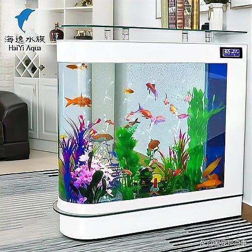 綿陽魚缸批發市場，綿陽魚缸批發市場分布廣泛且業態多元