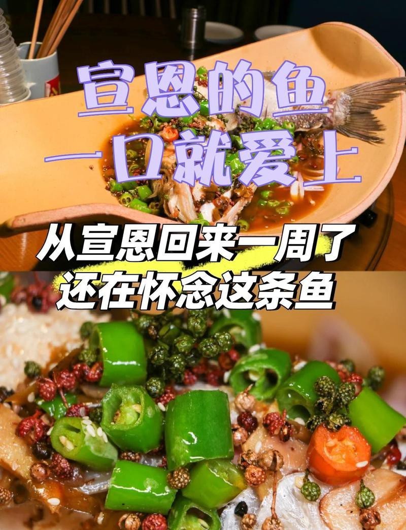 宣恩龍魚店，宣恩龍魚店哪家口碑最好