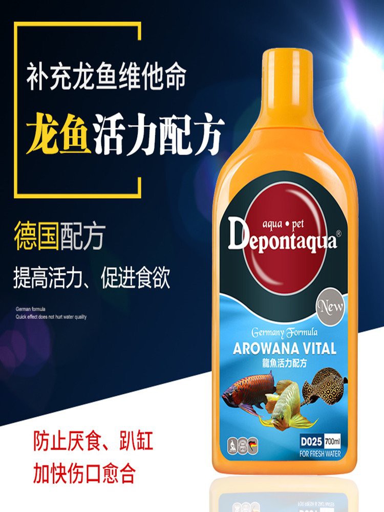 停食期間如何保持龍魚營養？，停食期間龍魚的營養維持問題