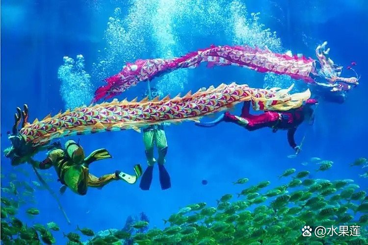 合肥水族店，合肥擁有多家特色鮮明的水族店為市民提供豐富的選擇