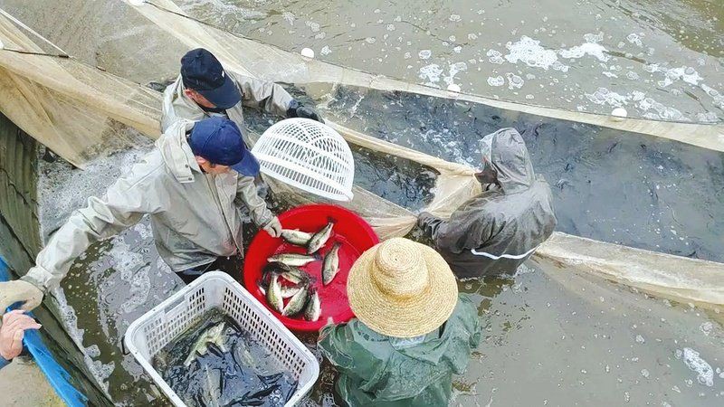 隨州魚缸批發(fā)市場，隨州魚缸批發(fā)市場在哪里進(jìn)貨 隨州魚缸批發(fā)市場，隨州魚缸批發(fā)市場在哪里進(jìn)貨 全國水族館企業(yè)名錄 第1張