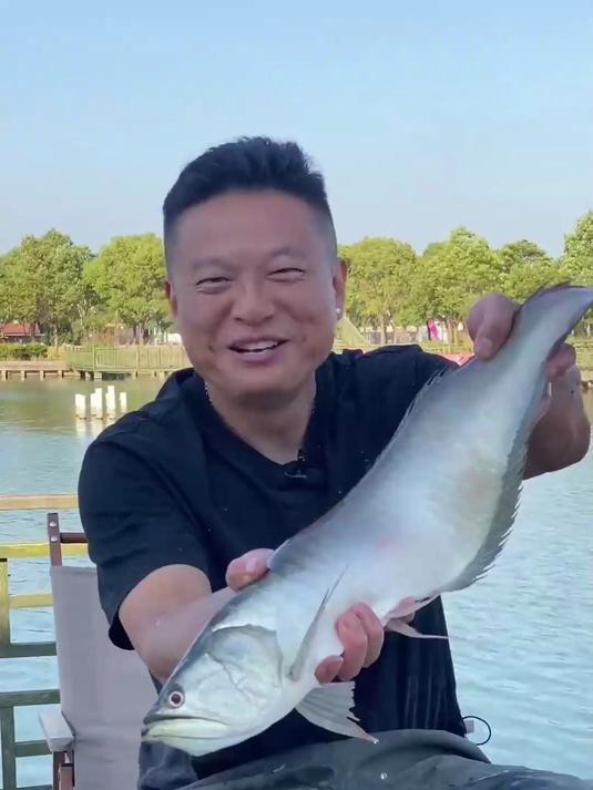 如何判斷一條短身龍魚的價值？，《如何判斷一條短身龍魚的價值》在觀賞魚市場中備受青睞