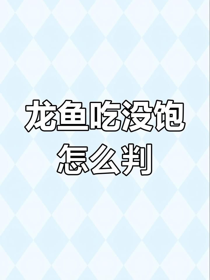 如何判斷雷龍魚是否吃飽？，如何判斷雷龍魚是否吃飽
