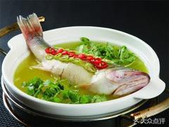 安慶龍魚店，安慶哪里可以買到觀賞性龍魚 安慶龍魚店，安慶哪里可以買到觀賞性龍魚 全國水族館企業名錄 第4張