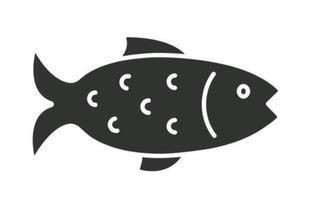 家里養(yǎng)的銀龍魚死了預(yù)示著什么，《家行不悖的應(yīng)對(duì)模式：老一輩傾向于焚香祈福銀龍魚死亡