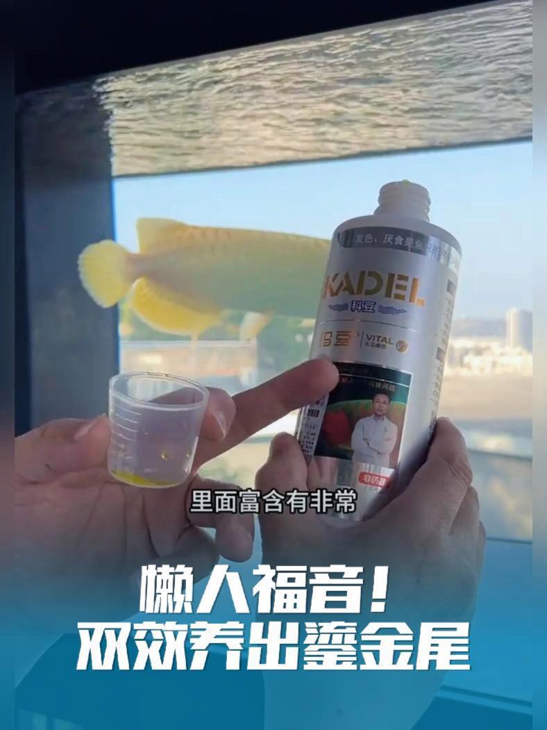如何促進(jìn)紅龍的發(fā)色？，如何促進(jìn)紅龍的發(fā)色
