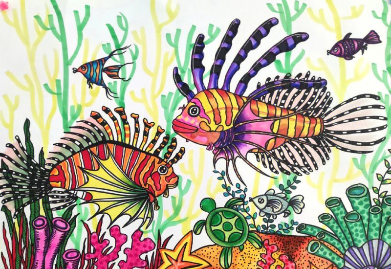 獅子魚(yú)一只多少元，為什么獅子魚(yú)的價(jià)格如此之大？ 獅子魚(yú)一只多少元，為什么獅子魚(yú)的價(jià)格如此之大？ 龍魚(yú)論壇 第2張