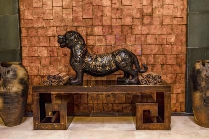 玖紋豹招財貓狗仔鯨，貓的秘密:它的“狗仔鯨”中的,探寶鯨