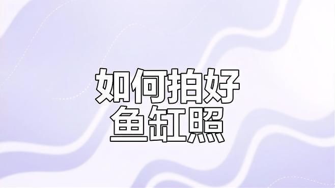 如何拍攝高質量的紅龍魚照片？，天津魚友拍攝高質量紅龍魚照片技巧大揭秘如何拍出唯美畫面