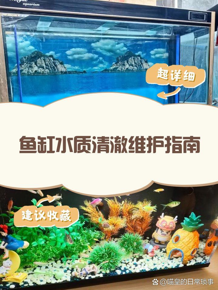 玉溪魚缸維護，《玉溪魚缸維護》 玉溪魚缸維護，《玉溪魚缸維護》 全國水族館企業名錄 第9張