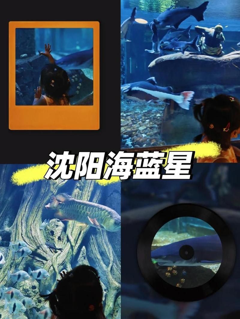 沈陽(yáng)水族館，探秘沈陽(yáng)水族館