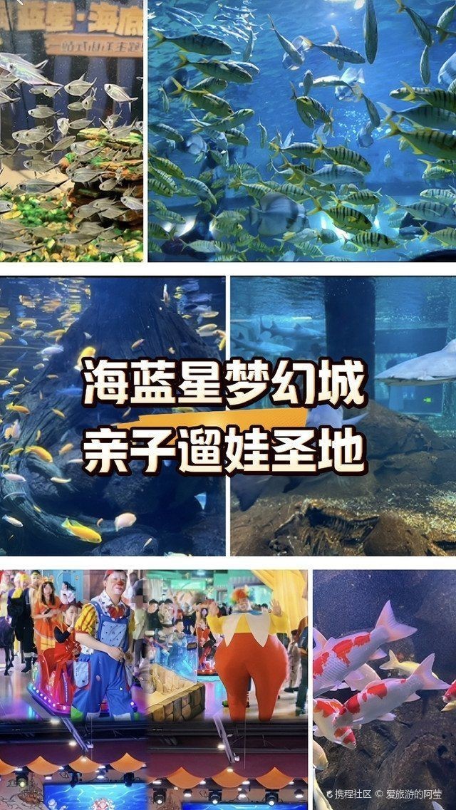 沈陽(yáng)水族館，探秘沈陽(yáng)水族館