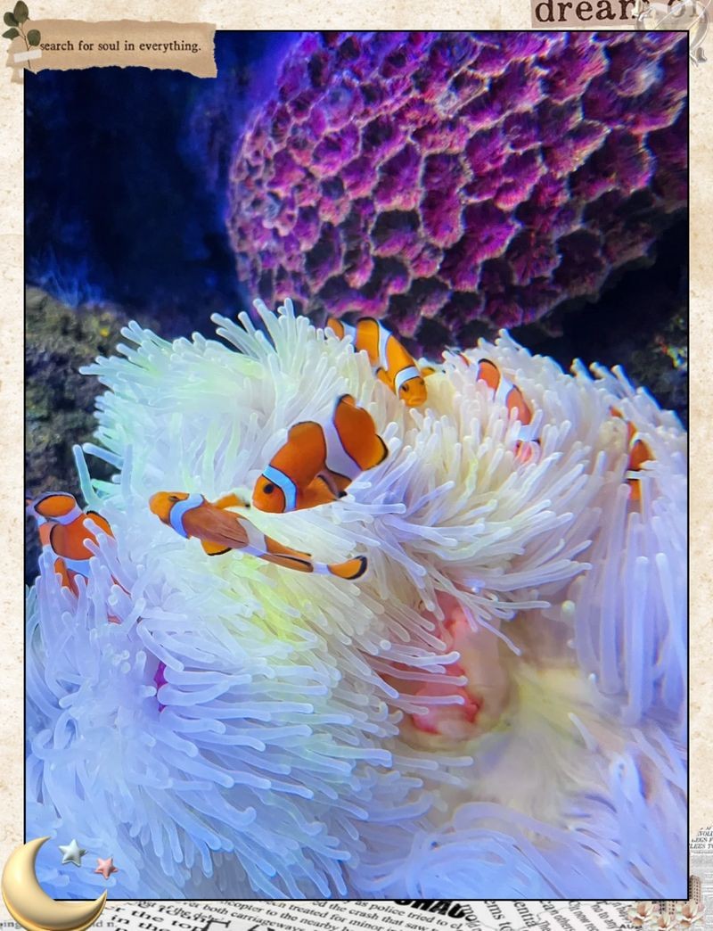 沈陽(yáng)水族館，探秘沈陽(yáng)水族館