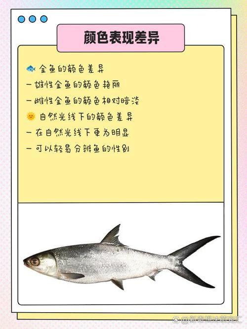 和尚魚公母最簡單辨認(rèn)圖，和尚魚公母的最簡單辨認(rèn)方法