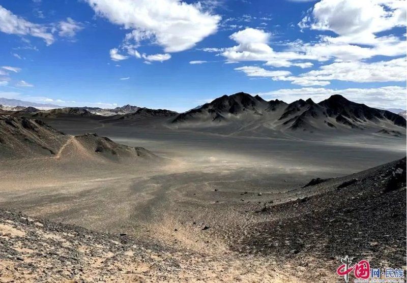 海西蒙古族藏族自治州水族館,海西蒙古《聲波馴魚州》水族館 全國水族館企業名錄 第2張 海西蒙古族藏族自治州水族館,海西蒙古《聲波馴魚州》水族館 海西蒙古族藏族自治州水族館,海西蒙古《聲波馴魚州》水族館 全國水族館企業名錄 第2張