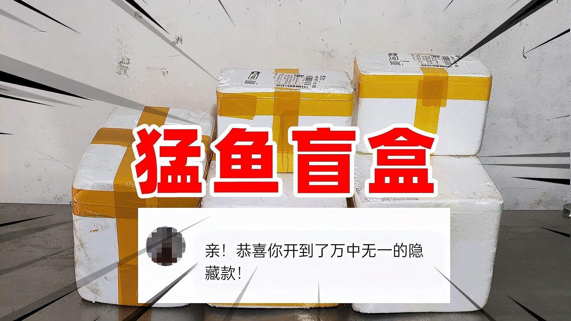 猛魚盲盒豪華版，400塊買的猛魚盲盒,開出五條大猛魚,賺了嗎