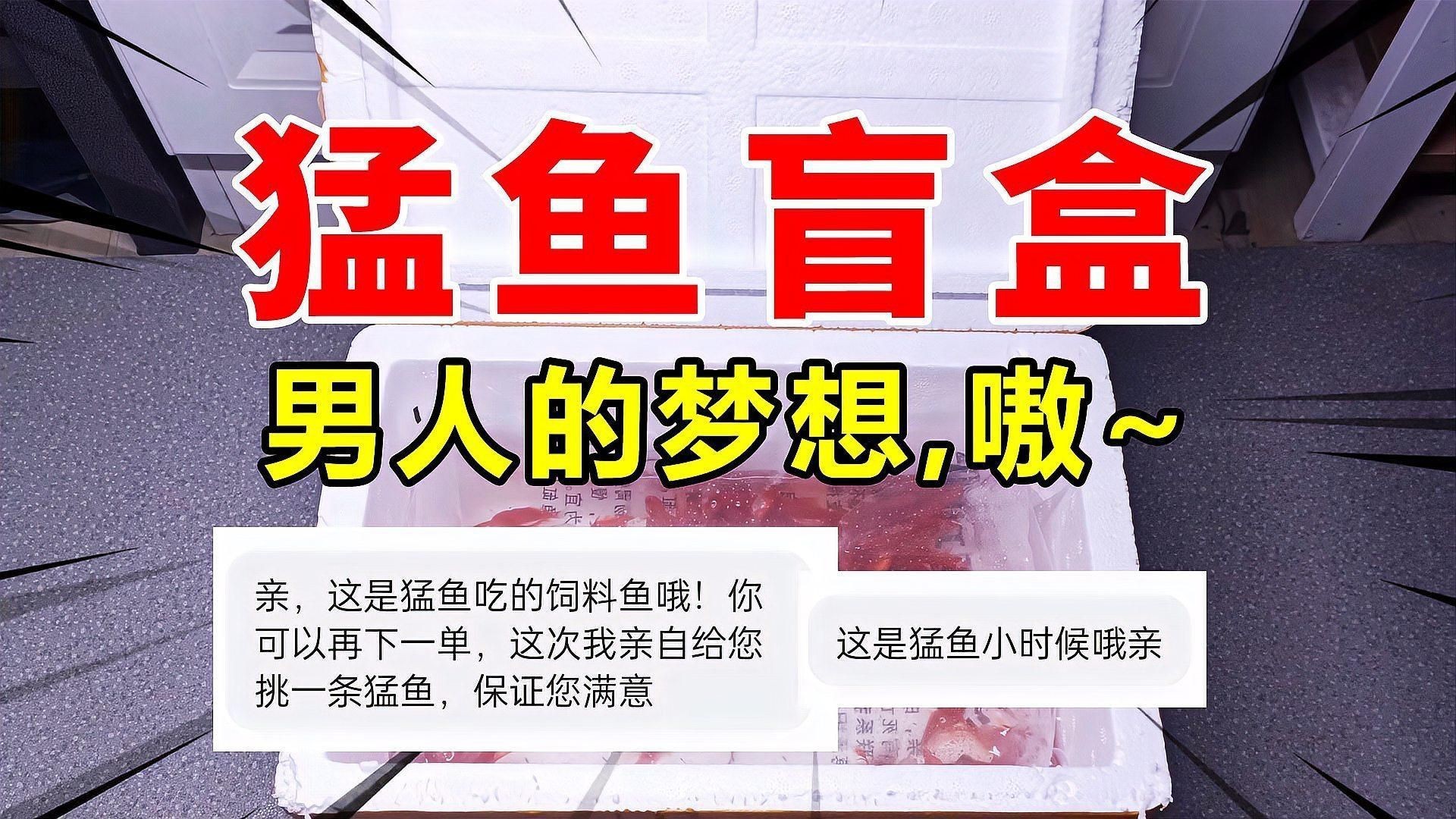猛魚盲盒豪華版，400塊買的猛魚盲盒,開出五條大猛魚,賺了嗎
