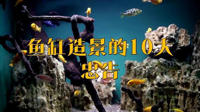 如何避免龍魚缸造景中的常見問題？，龍魚缸造景常見問題的規避策略