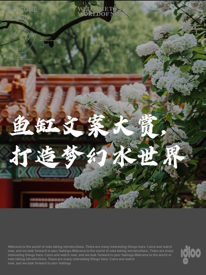 新余魚缸店，新余市魚缸店